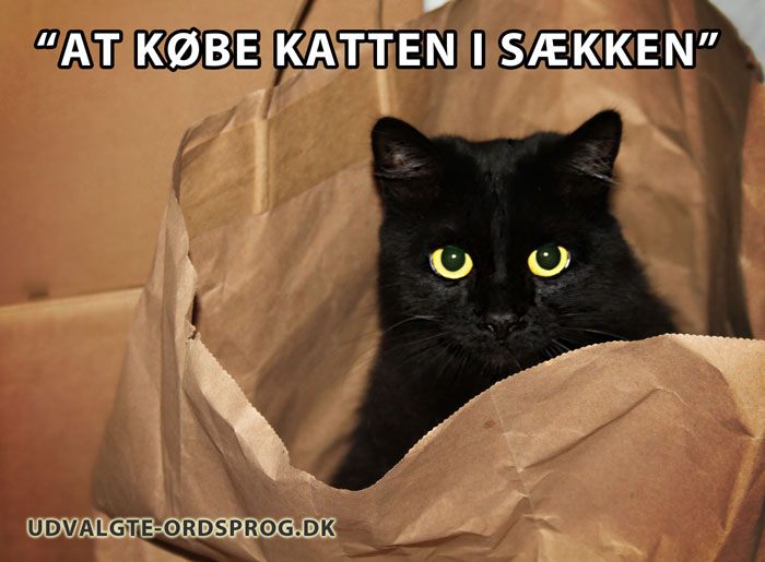 At købe katten i sækken - et dansk udtryk