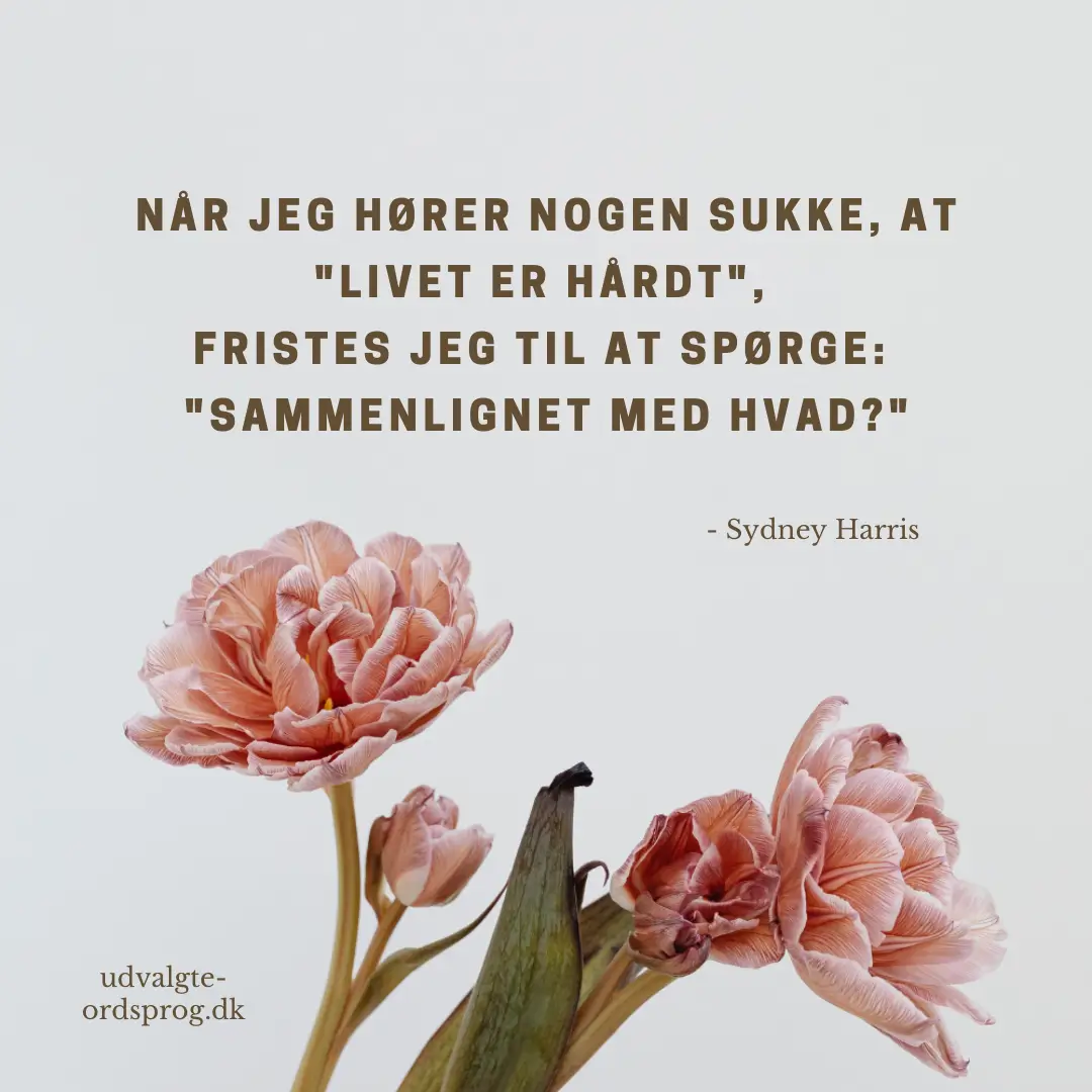 Citater om livet er vigtige, fordi de indeholder en universel visdom, der taler til de fleste