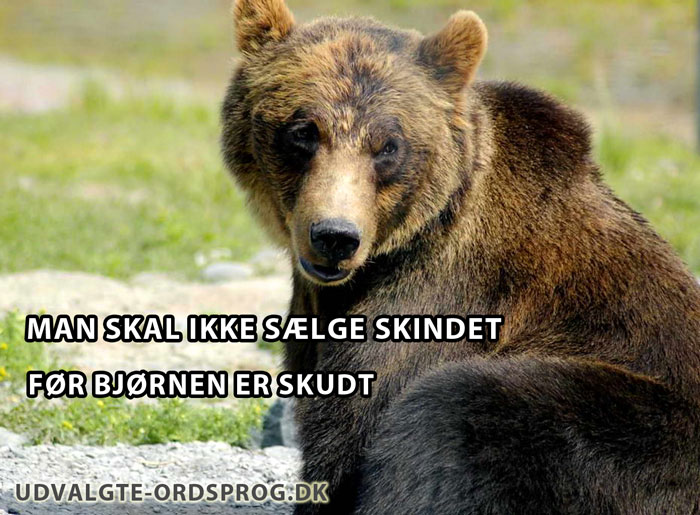 Man skal ikke sælge skindet før bjørnen er skudt - Dansk ordsprog