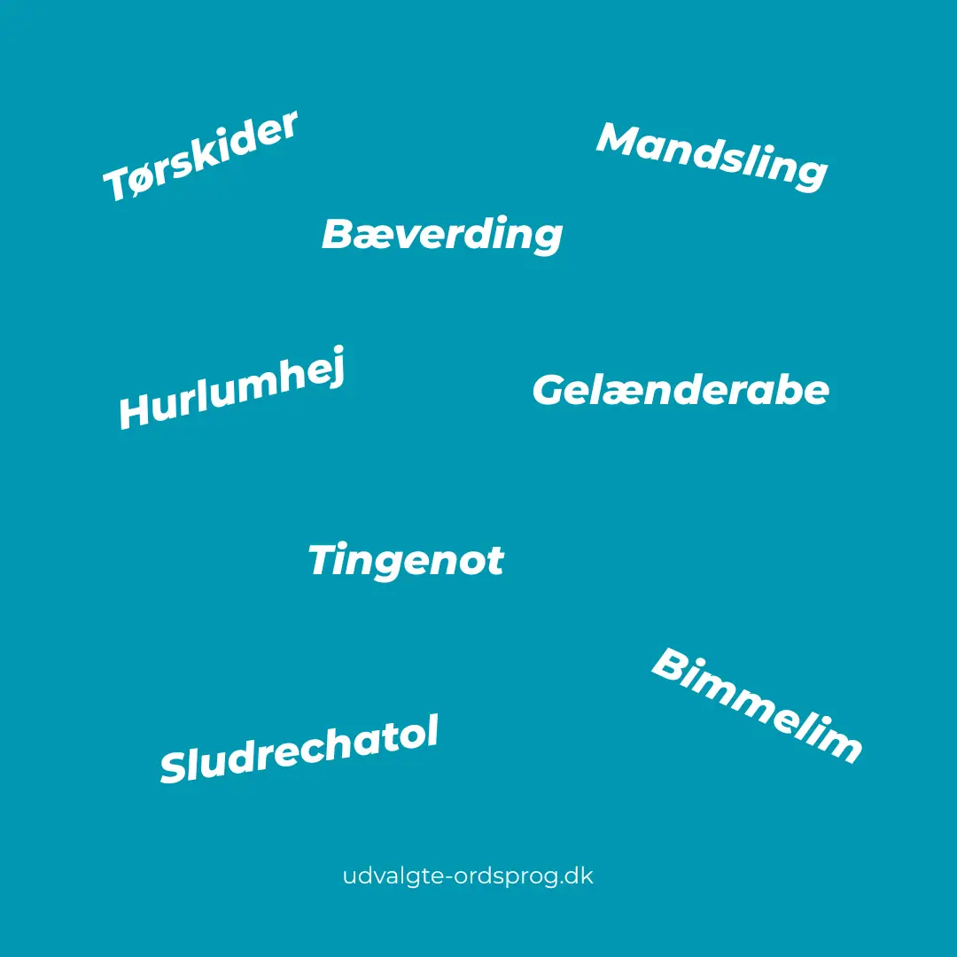 Sjove danske ord inkluderer gelænderabe. mandsling, bæverding m.fl.
